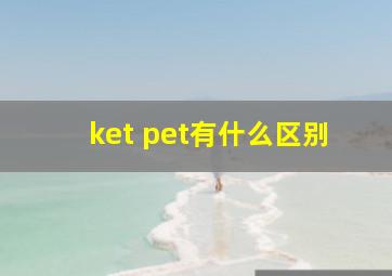 ket pet有什么区别